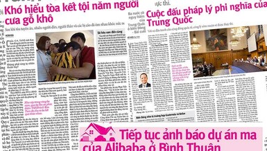 Vụ cưa gỗ khô: Tòa xử có vì công lý?