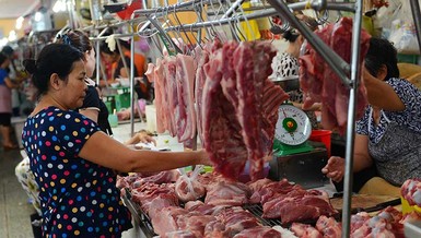 Giá thịt heo chạm mốc 280.000 đồng/kg