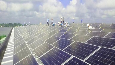 Dự án điện mặt trời của Sao Mai Group gấp rút thi công