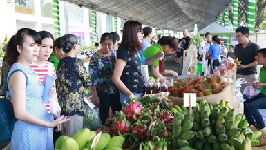 Hãy đến với 'Ngày hội Xanh Phú Mỹ Hưng lần 4-2019'