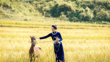 Miss World tung clip giới thiệu của hoa hậu Lương Thùy Linh