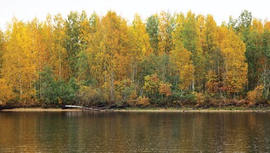 Mùa thu trên dòng Volga