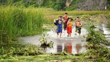 Trạng Tí lại lỗi hẹn các em ngay ngày Quốc tế Thiếu nhi
