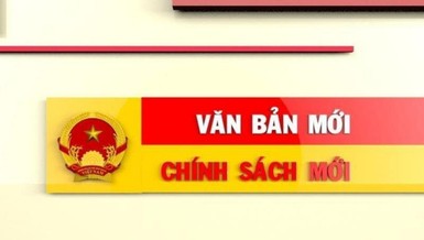 Những quy định mới có hiệu lực trong tháng 10-2020