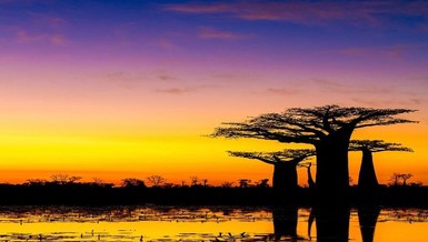 Những cảnh vật thiên nhiên lạ mắt chỉ có ở Madagascar