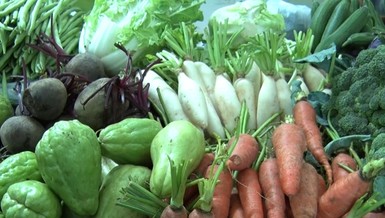 Có một khu chợ nông sản sạch của người trẻ