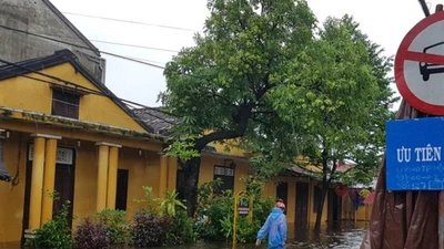 Mưa lũ không ảnh hưởng hoạt động APEC tại Hội An