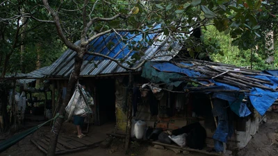 Cuộc sống giữa rừng sâu núi thẳm