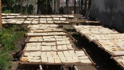 Clip hãi hùng với công nghệ sản xuất cơm cháy chà bông