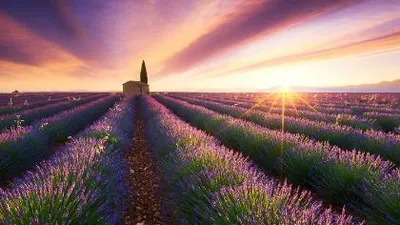 Ngỡ ngàng trước những bức ảnh bình minh tuyệt đẹp