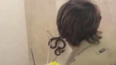 Kinh hãi rắn 4m ẩn náu bên trong bể chứa nước