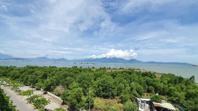 Đà Nẵng sẽ thu hồi dự án Khu đô thị quốc tế Đa Phước