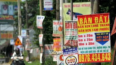 Không có chuyện 'con sếp có ngàn ha đất Long Thành'