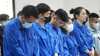 Đang xét xử vụ công ty thuê người làm 'chim mồi' để lừa bán đất