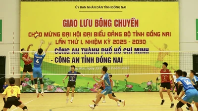 Đồng Nai thành lập Đội tuyển Bóng chuyền Nam