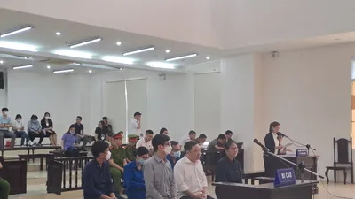 Công ty AIC của bà Nguyễn Thị Thanh Nhàn muốn bồi thường thay các bị cáo 