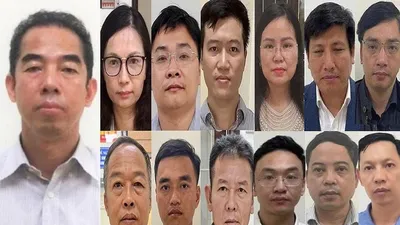 Sắp xét xử cựu Thứ trưởng Tô Anh Dũng vụ 'chuyến bay giải cứu'