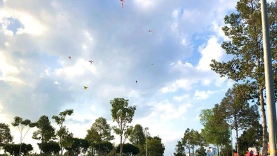 Cần Thơ chuẩn bị Lễ hội bánh dân gian Nam Bộ lần thứ IX năm 2022