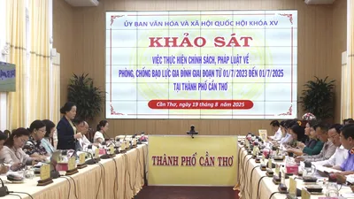  TP Cần Thơ: 100% các vụ bạo lực gia đình đều do nam giới gây ra