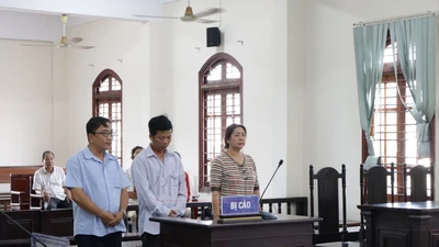 Vụ 1 người chết khi đào cống dưới chân cầu Trần Hoàng Na: 3 người lãnh án