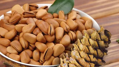 10 công dụng trị bệnh bất ngờ của hạt thông