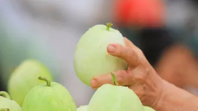 Trời nắng nóng, ăn 5 món này cơ thể sẽ được làm mát