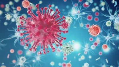 virus gây bệnh cúm mùa. Ảnh minh họa