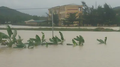 Quốc lộ 1 qua Quảng Ngãi chia cắt, nhiều nơi ngập sâu