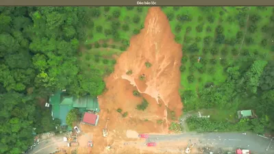 Đồi sầu riêng phía sau chốt CSGT bị sạt phần lớn là đất lâm nghiệp