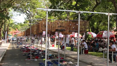 Gần 500 chú chim chào mào tranh tài