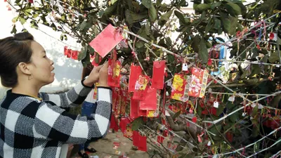 Quảng Ngãi: Ngư dân hái lộc cầu an ngày mùng 1 tết