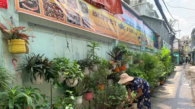 TP.HCM: Những bức tường “xanh” chống nạn sơn vẽ bậy