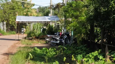 Chó pitbull cắn chết người: Cần thêm quy định để siết chặt