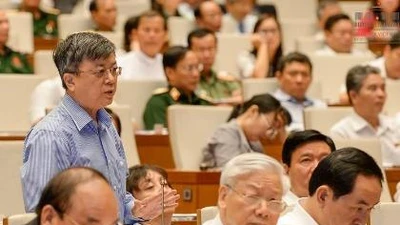 Tại sao Quốc hội chưa có ý kiến gì về vụ Formosa?