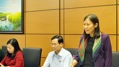 Bồi thường vụ ông Nén: Đừng để Bắc-Nam khác biệt