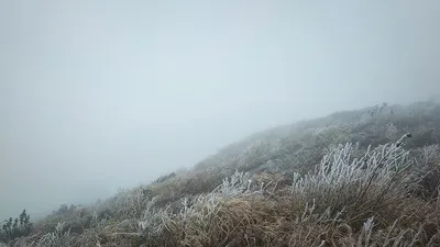 Bắc và Bắc Trung Bộ rơi vào đợt lạnh khắc nghiệt nhất mùa Xuân