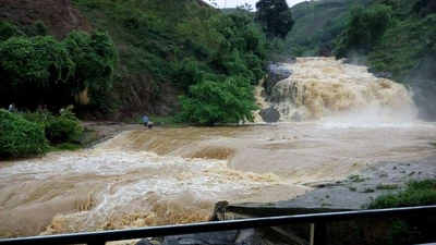 Mưa từ đêm đến sáng khiến 1 người chết, hơn 200 căn nhà bị ngập