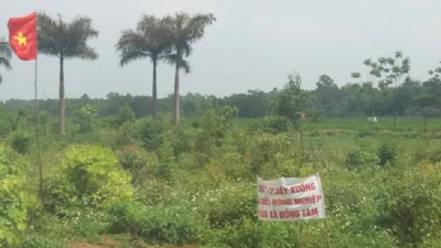 Vụ Đồng Tâm: Hủy bỏ quyết định tạm giữ ông Lê Đình Kình