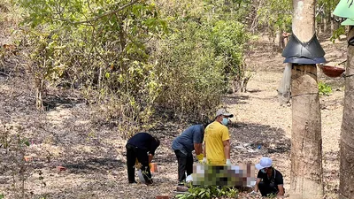 Thi thể người đàn ông chết cháy trong lô cao su là 1 kiểm sát viên 