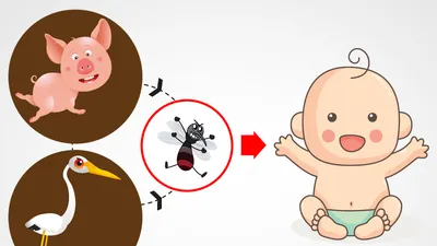 4 bước phòng dịch viêm não Nhật Bản mùa hè