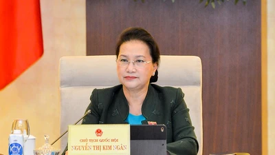 Chủ tịch Quốc hội: 'Rất ấn tượng về Thủ tướng, Phó Thủ tướng'