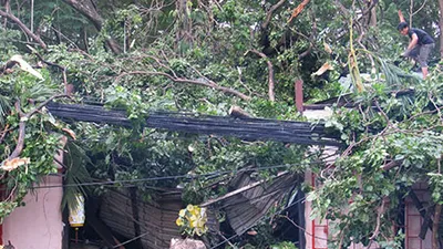 Mưa lớn, cây ngã đè sập nhà hàng tại TP.HCM