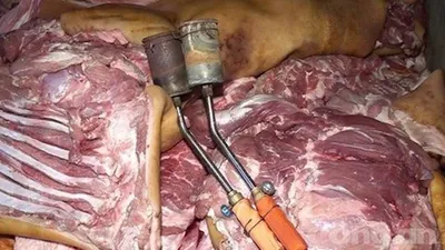 Phạt 30 triệu đồng hai cơ sở ‘hô biến’ thịt heo thối