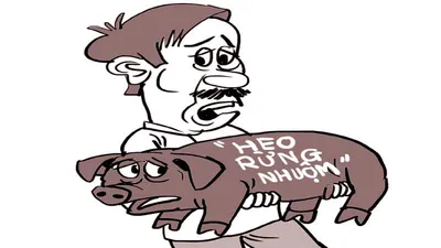 ‘Nhuộm tóc’ cho heo