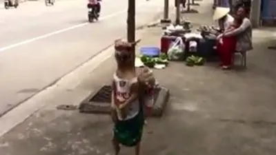 Clip: Chú chó đi dạo phố bằng... 2 chân