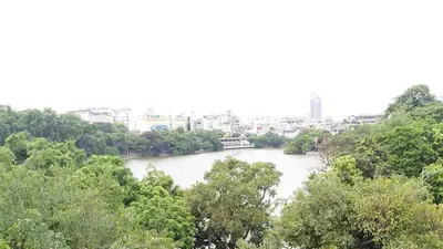 Chủ tịch Hà Nội: Không có chuyện thay cây xanh Hồ Gươm