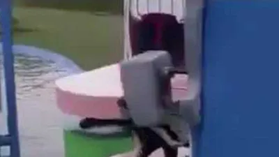 'Chiến binh Ninja' phiên bản lỗi