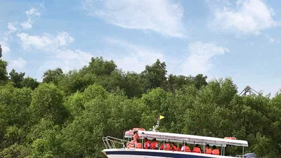 Du lịch đường sông TP.HCM có gì mới?