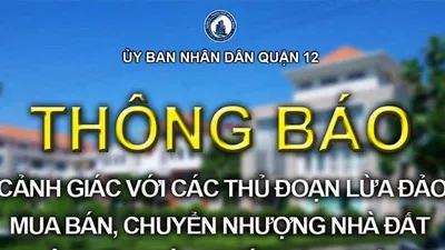 Cảnh báo: Mua nhà, đất qua vi bằng là mất trắng