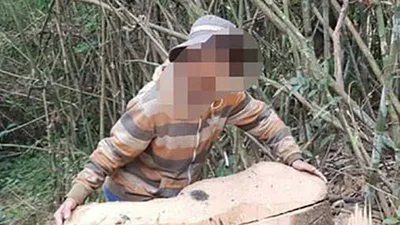 Gỗ khủng ung dung ra khỏi rừng đặc dụng